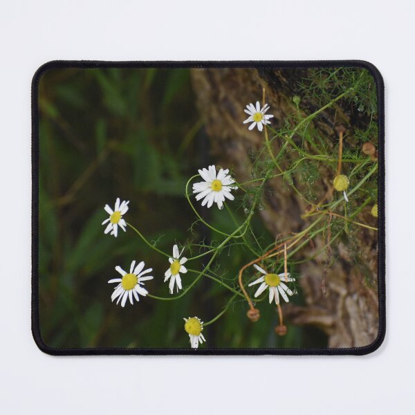 Item preview, Daisy designed and sold by SaraTomlinson55.
