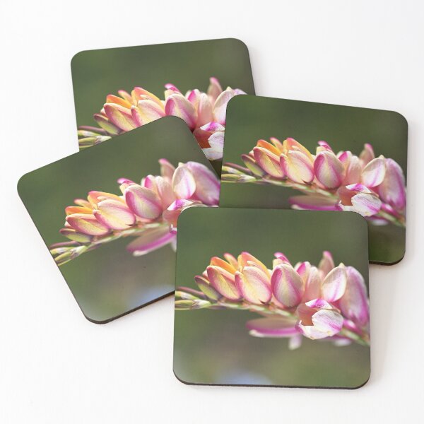 Item preview, Spring Bright Ixia Flowers designed and sold by Joy Watson - Natural Light Photography .
