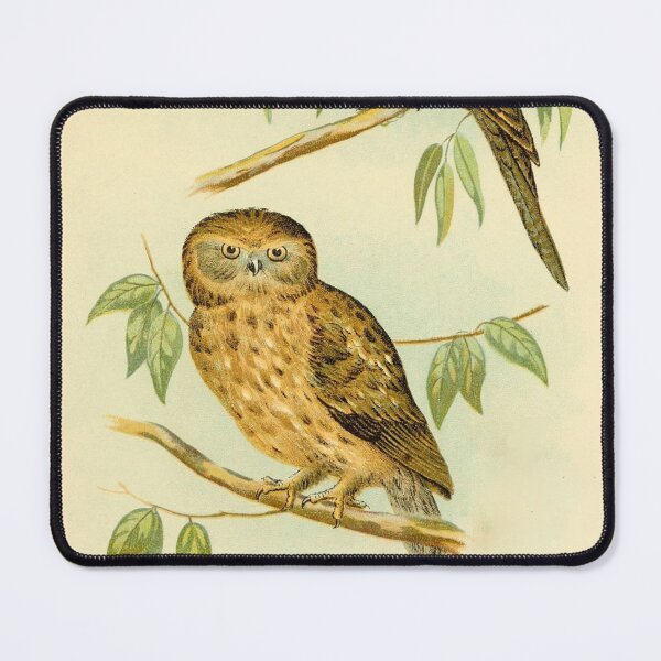 Item preview, TawnyShouldered Podargus and Boobook Owl designed and sold by laguitan10.