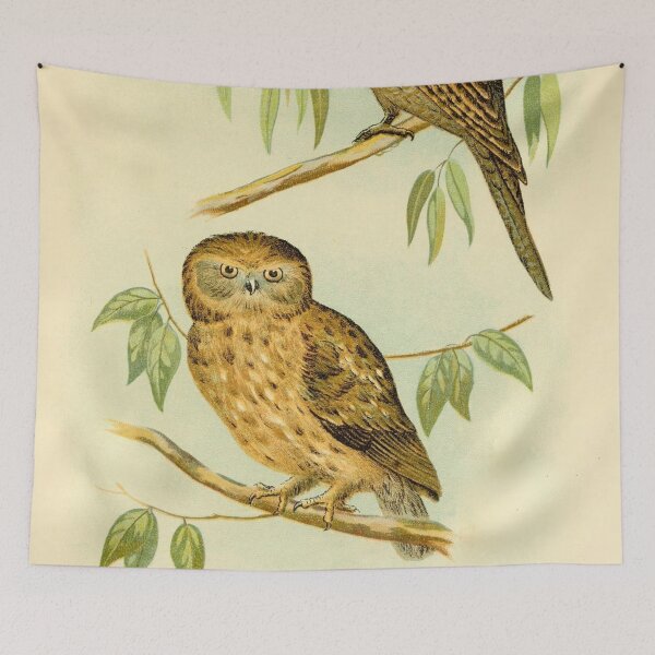 Item preview, TawnyShouldered Podargus and Boobook Owl designed and sold by laguitan10.