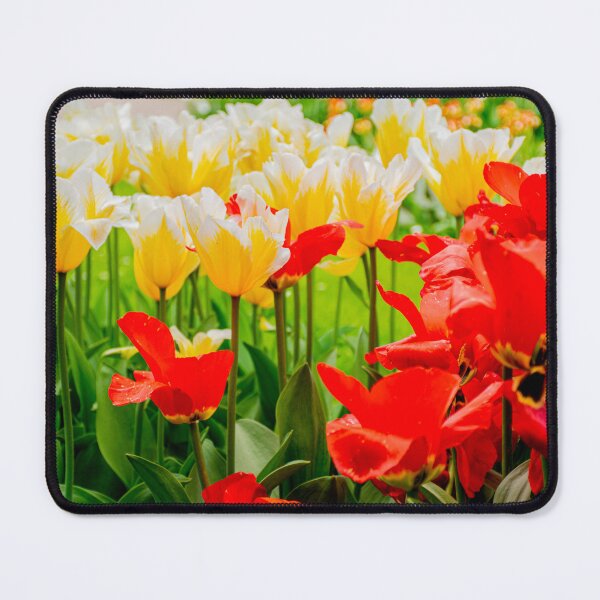 Item preview, Yellow & Red Tulips Photography designed and sold by Inspirely.