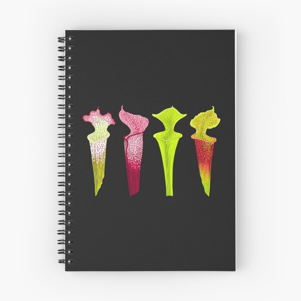 Item preview, Four Sarracenia Trumpet Pitchers designed and sold by NepenthesArt.