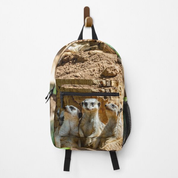 Item preview, The 3 plus one Meerkat Amigos designed and sold by Dalyndigital Photography.