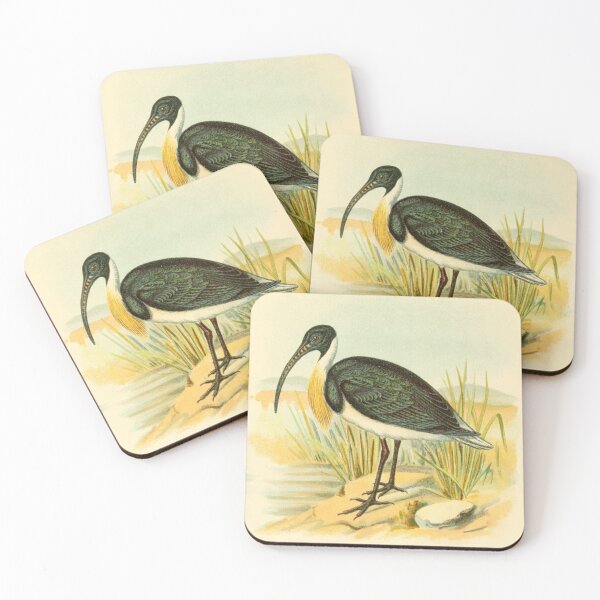 Item preview, Straw Necked Ibis on Swamp designed and sold by laguitan10.