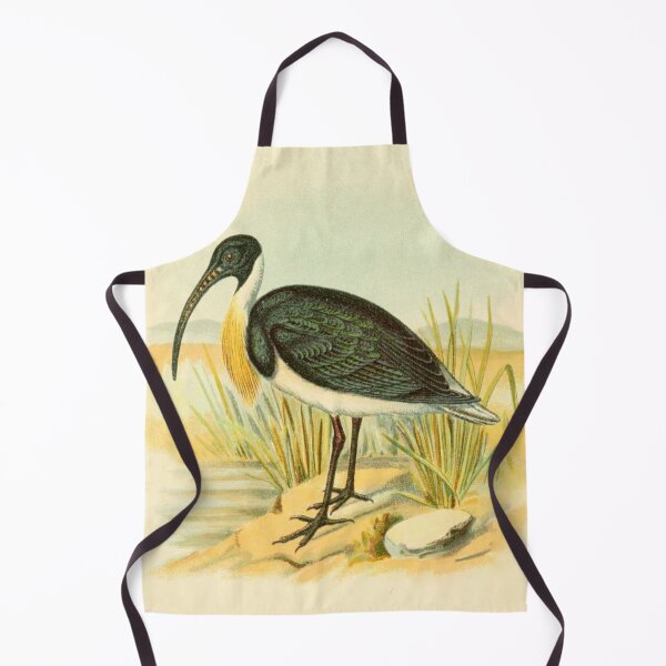 Item preview, Straw Necked Ibis on Swamp designed and sold by laguitan10.