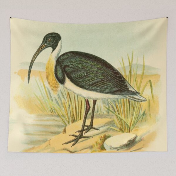 Item preview, Straw Necked Ibis on Swamp designed and sold by laguitan10.