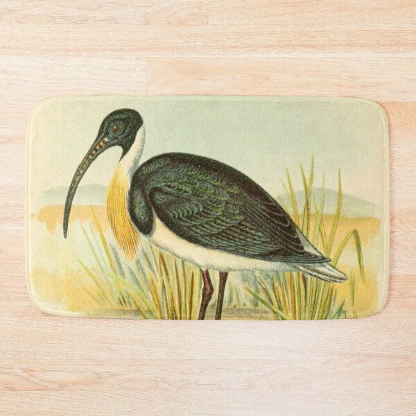 Item preview, Straw Necked Ibis on Swamp designed and sold by laguitan10.