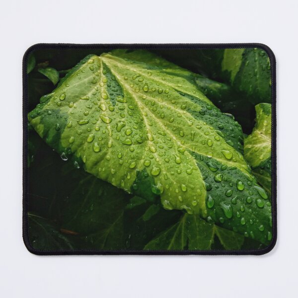 Item preview, Rain drop on leafs designed and sold by GoxDesign.