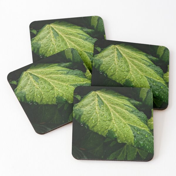 Item preview, Rain drop on leafs designed and sold by GoxDesign.