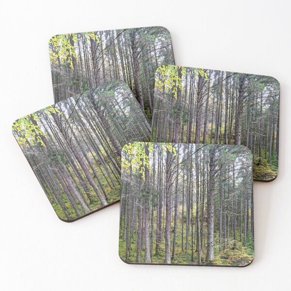 Item preview, Pine Forest designed and sold by Stephen Frost.