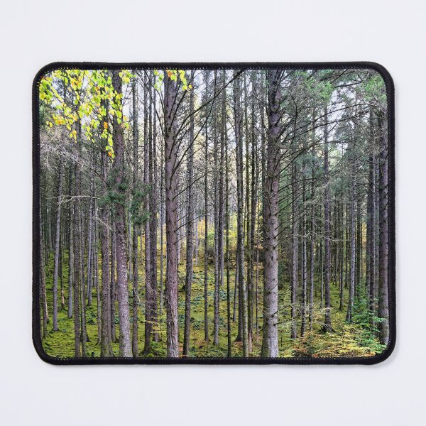 Item preview, Pine Forest designed and sold by Stephen Frost.