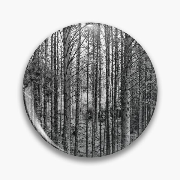 Aperçu de l'œuvre Forêt de pins créée et vendue par Stephen Frost.
