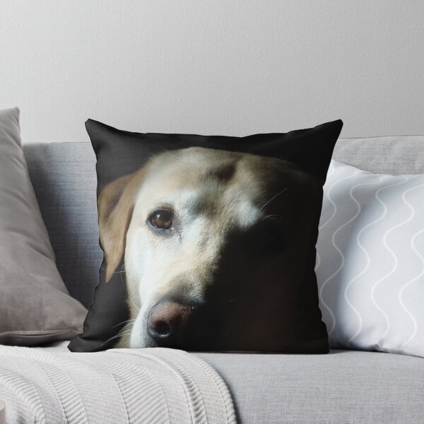 Item preview, Buddy designed and sold by daniel iorio.