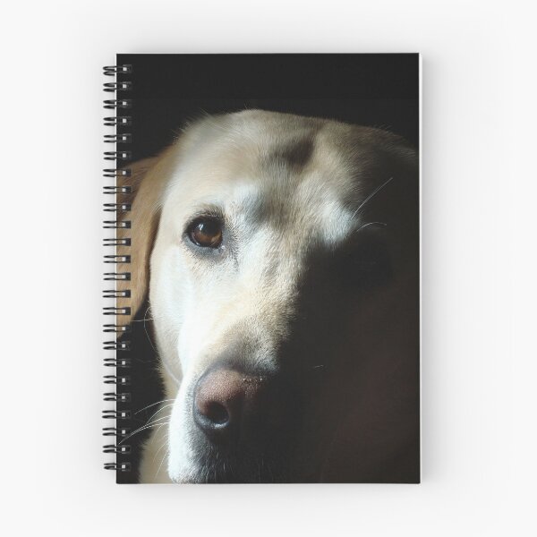 Item preview, Buddy designed and sold by daniel iorio.