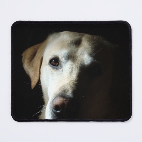 Item preview, Buddy designed and sold by daniel iorio.