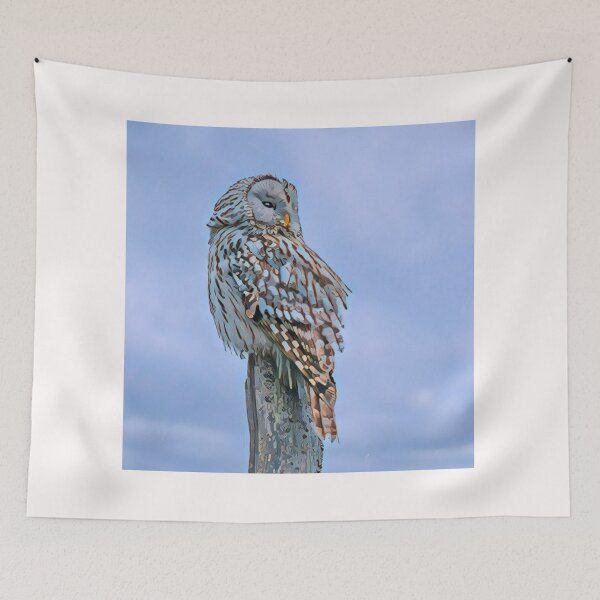 Item preview, Drachma designed and sold by Editlab.