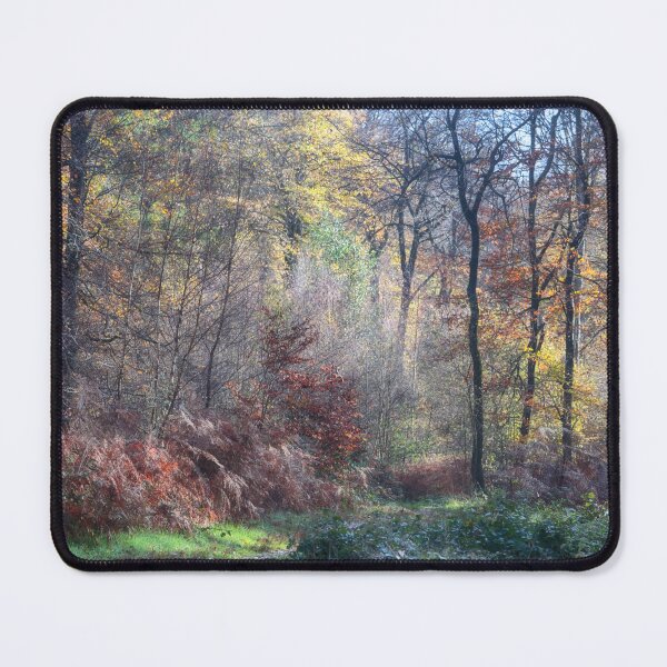 Item preview, Autumn Beech Woodlands designed and sold by Ceri Jones.