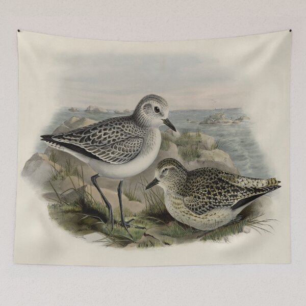 Item preview, Birds at the Sea Vintage Print designed and sold by tomorrowsart.