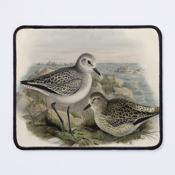 Item preview, Birds at the Sea Vintage Print designed and sold by tomorrowsart.