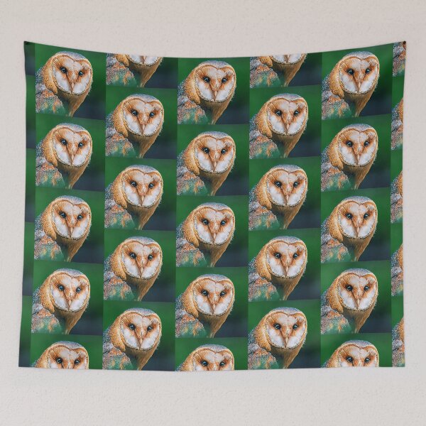 Item preview, adopt me owl designed and sold by Editlab.