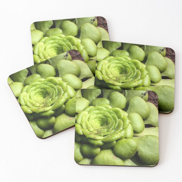 Item preview, houseleek photography designed and sold by light-blower.
