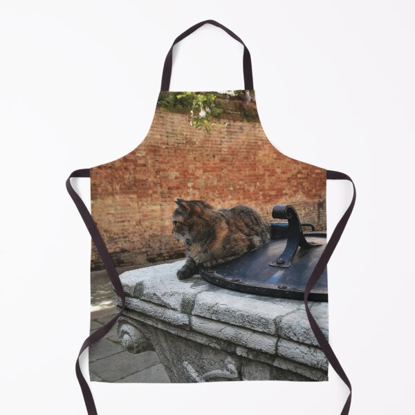 Item preview, Cyril on his well. designed and sold by Nerone.