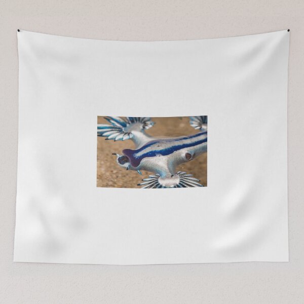 Item preview, Blue Sea Dragon - Glaucus atlanticus designed and sold by Normf.