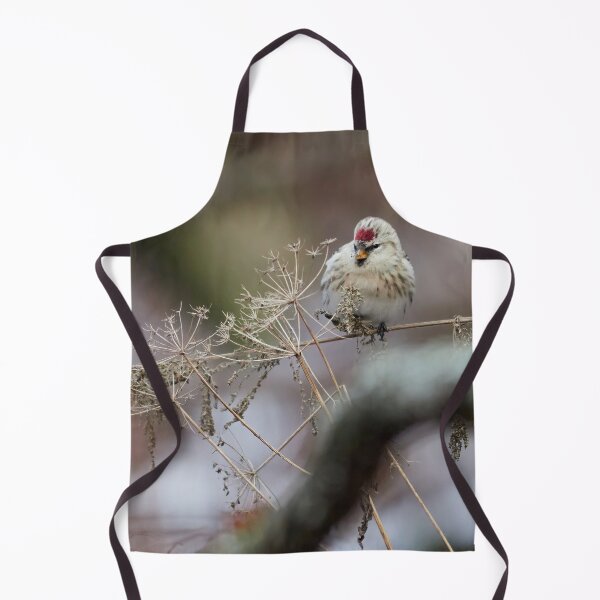 Item preview, By the winter sleepers.  Arctic redpoll designed and sold by Jouko Lehto Photography.