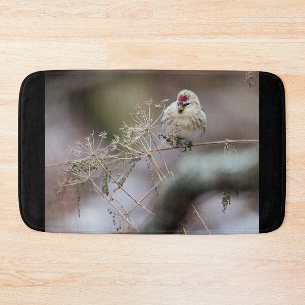 Item preview, By the winter sleepers.  Arctic redpoll designed and sold by Jouko Lehto Photography.