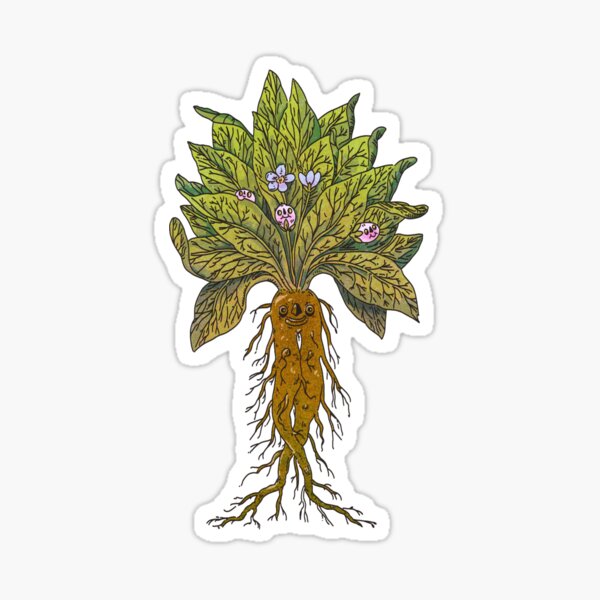 Happy little mandrake Sticker