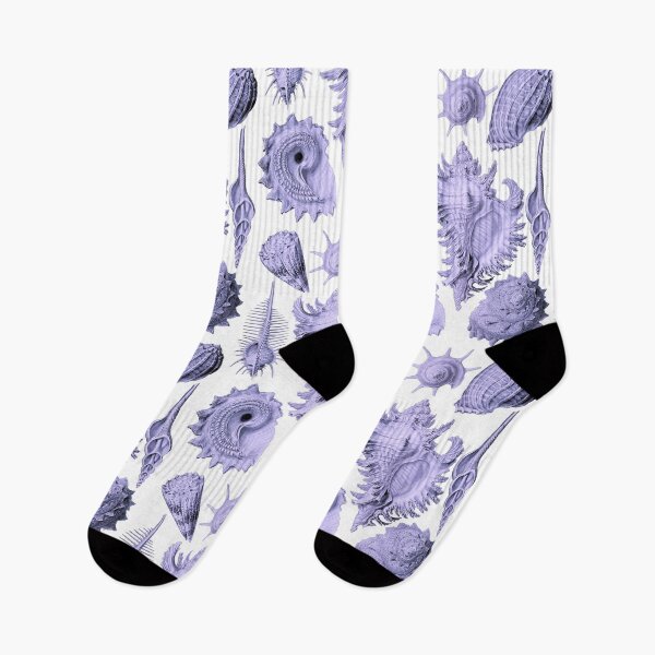 Item preview, Prosobranchia from Artforms of Nature (1904) by Ernst Haeckel Light Purple on White designed and sold by Shapes-Mania.
