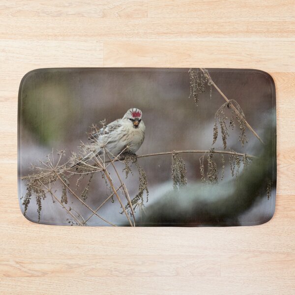 Item preview, Seeking the seeds. Arctic redpoll designed and sold by Jouko Lehto Photography.