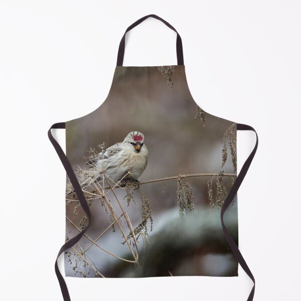 Item preview, Seeking the seeds. Arctic redpoll designed and sold by Jouko Lehto Photography.