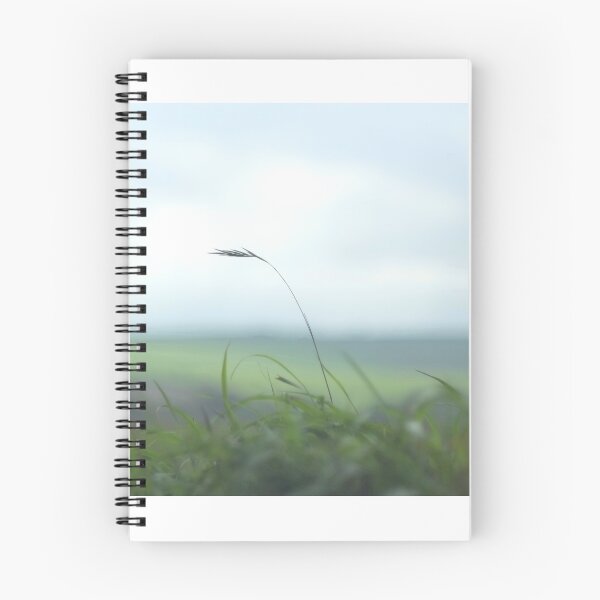 Item preview, " The Quiet Still Of Noon " designed and sold by Richard Couchman.