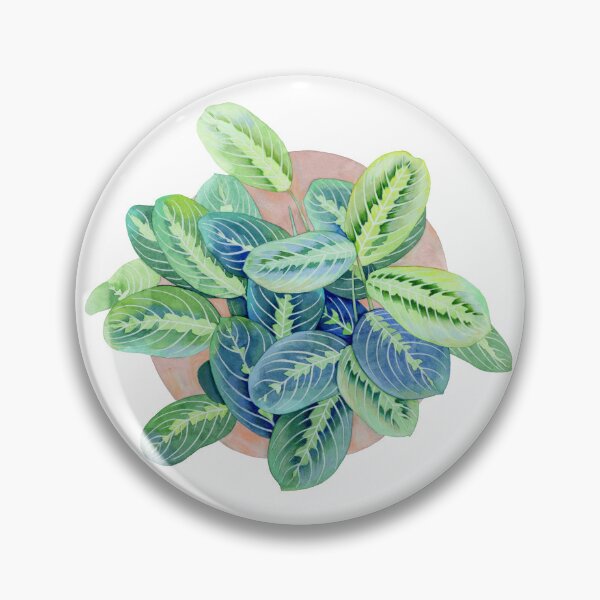 Item preview, Maranta Leuconeura designed and sold by priskamoon.