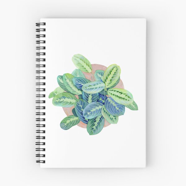 Item preview, Maranta Leuconeura designed and sold by priskamoon.