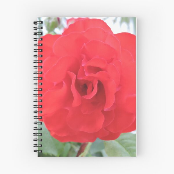 Item preview, Rosa R designed and sold by ireneale.