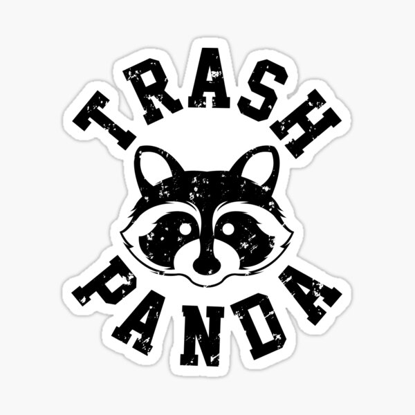 Raccoon Stickers, Raccoon, Trash Panda, Cute Stickers 