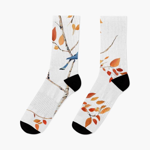 Item preview, Blue Jay in a birch tree designed and sold by alxndraai.