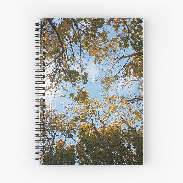 Item preview, Thorpe Park | Autumn Leaves | 2017 | Photography designed and sold by Bluecloud184.