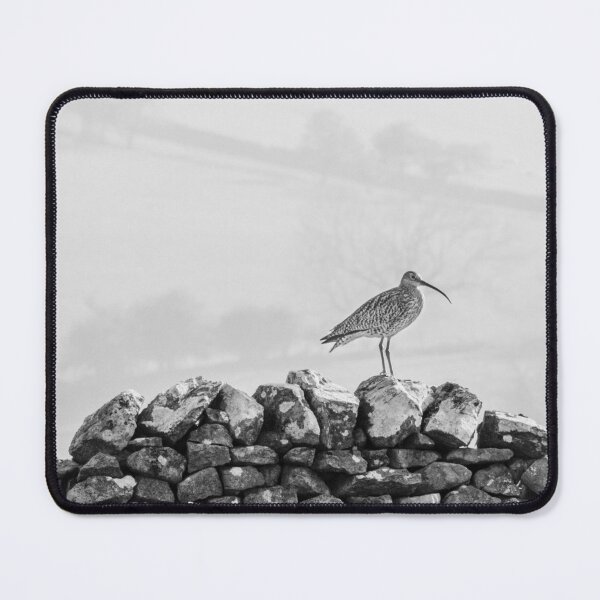 Item preview, Curlew on dry stone wall designed and sold by mikebov.