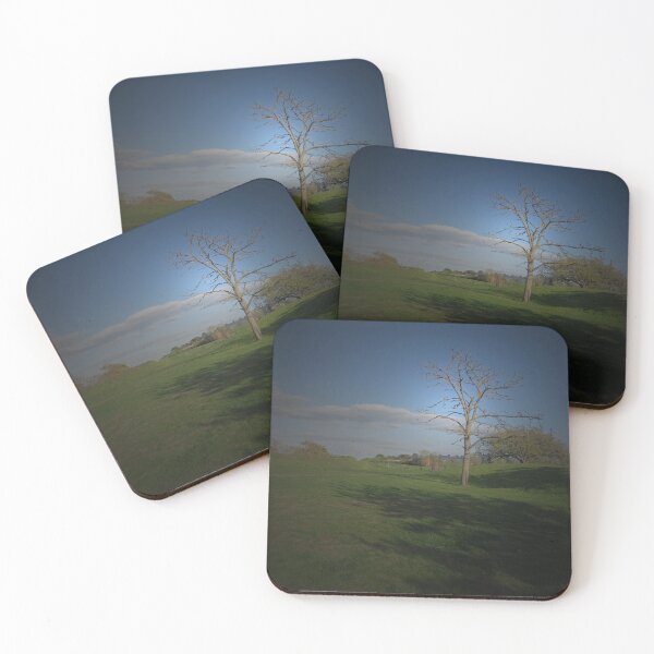 Item preview, Just a Tree in a park designed and sold by Sandra Willis.