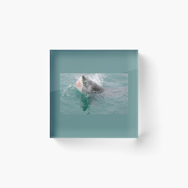 Item preview, Lunge designed and sold by David JC.