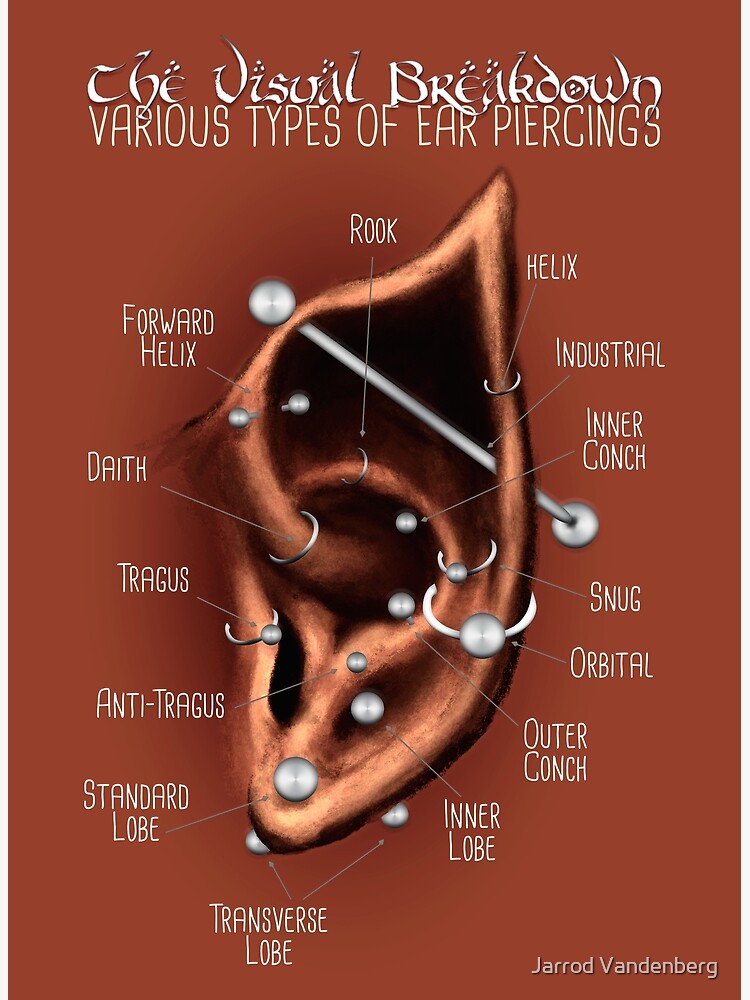 Ear and Nose Piercing Chart - A Visual Guide of what to expect