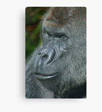 Portrait of a Gorilla Canvas Print