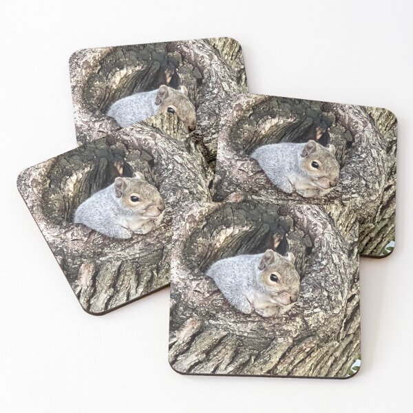 Item preview, Squirrel photo, Boston Commons, Park designed and sold by DebbieJoyArt.