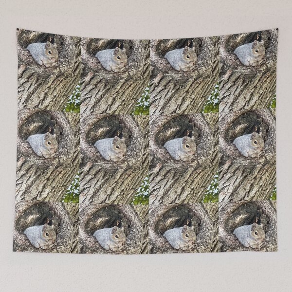 Item preview, Squirrel photo, Boston Commons, Park designed and sold by DebbieJoyArt.