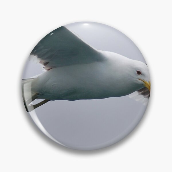 Item preview, Cape Gull Flypast designed and sold by David JC.