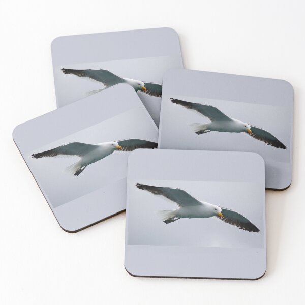 Item preview, Cape Gull Flypast designed and sold by David JC.