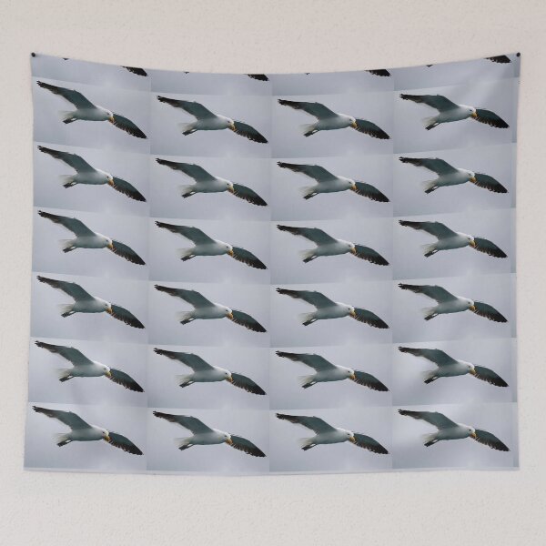 Item preview, Cape Gull Flypast designed and sold by David JC.